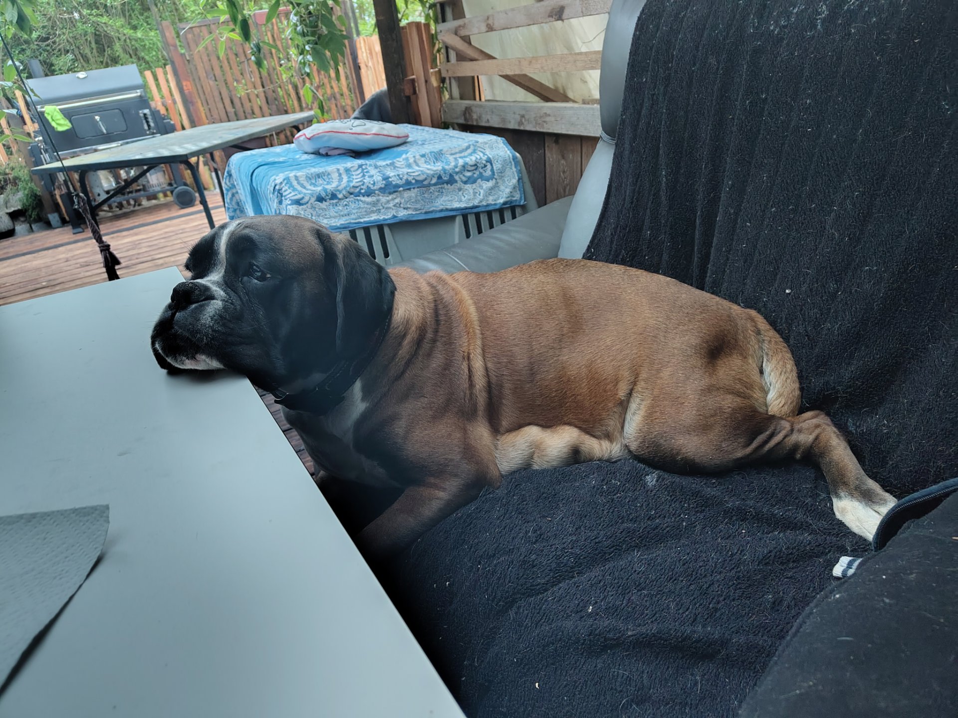 Tag 58 🥰 gemütliches zu Tische liegen.😄