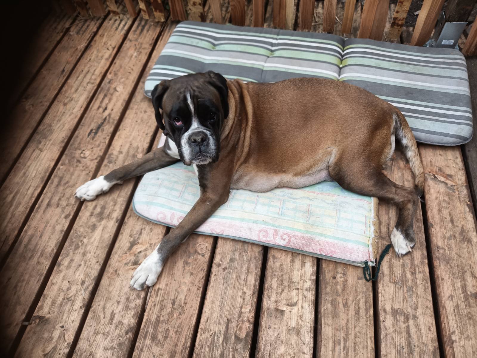 Der Bauch wächst. 🥰