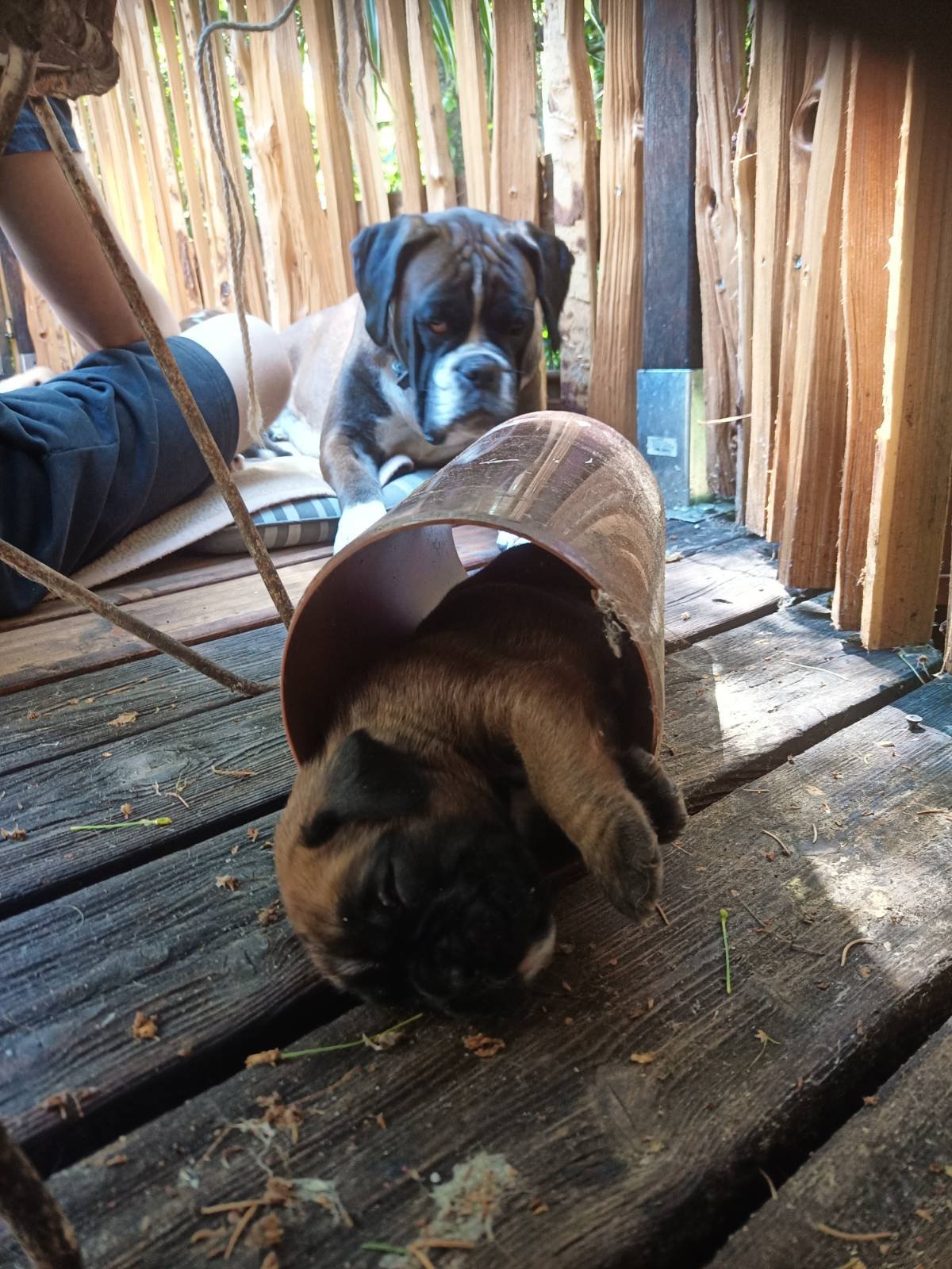 image_13.jpeg